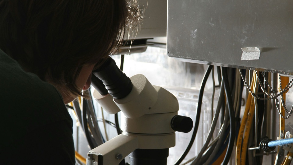 5 Skills You'd Need To Become A Marine Biologist