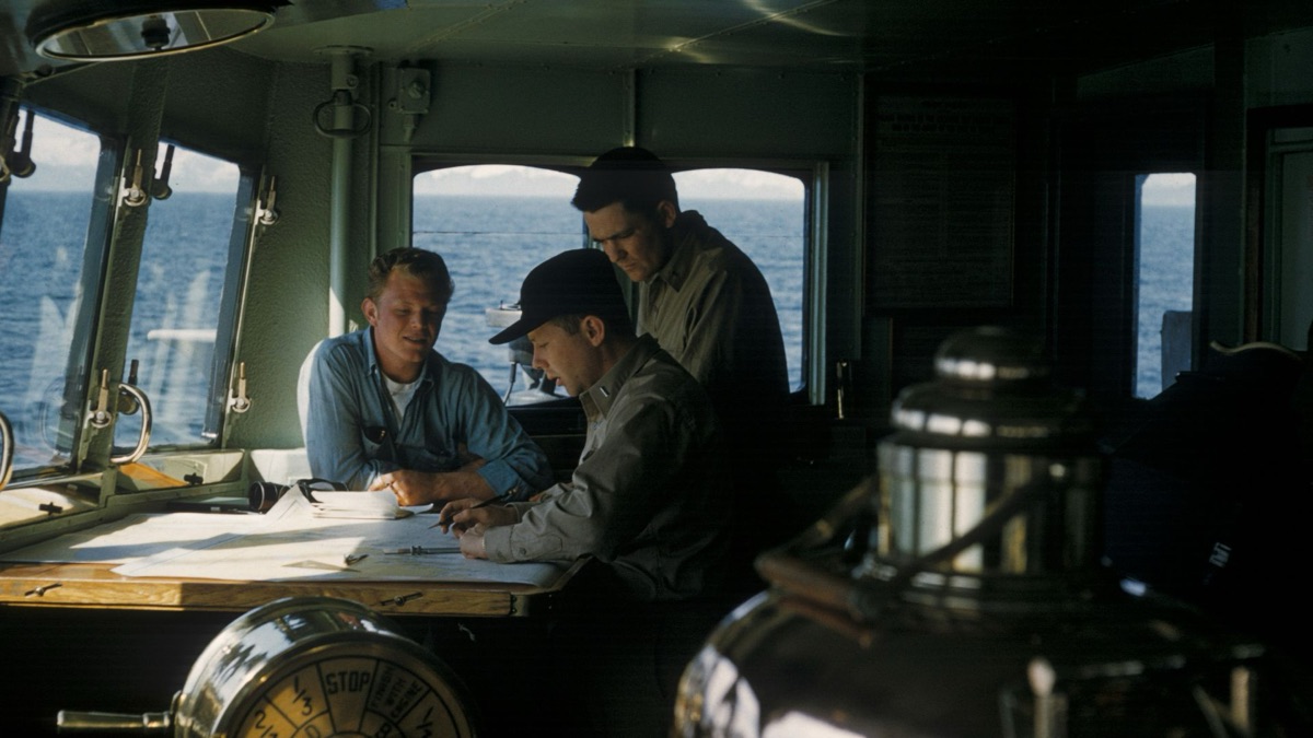 5 Skills You'd Need To Become A Marine Biologist